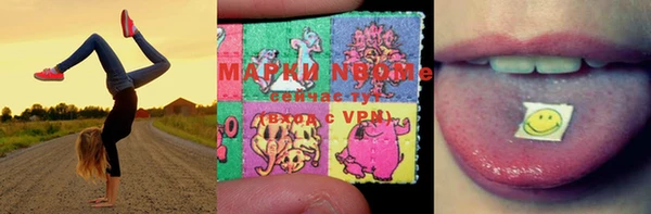 круглые Белокуриха