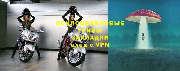 дживик Баксан
