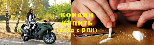 шишки Беломорск