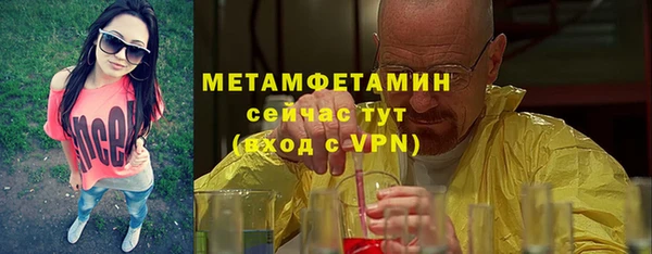 шишки Беломорск
