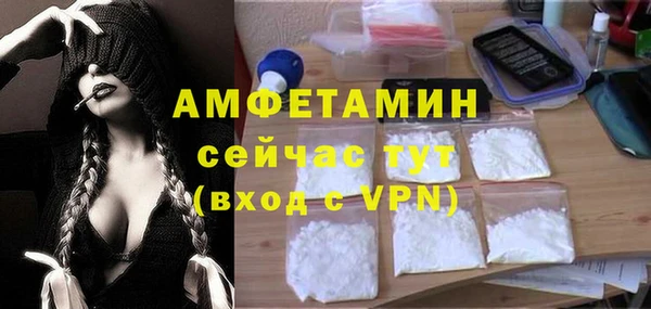 шишки Беломорск