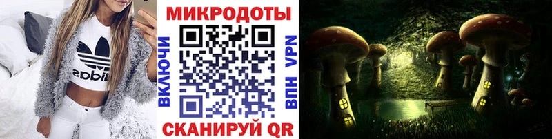 Псилоцибиновые грибы MAGIC MUSHROOMS где продают наркотики Ногинск